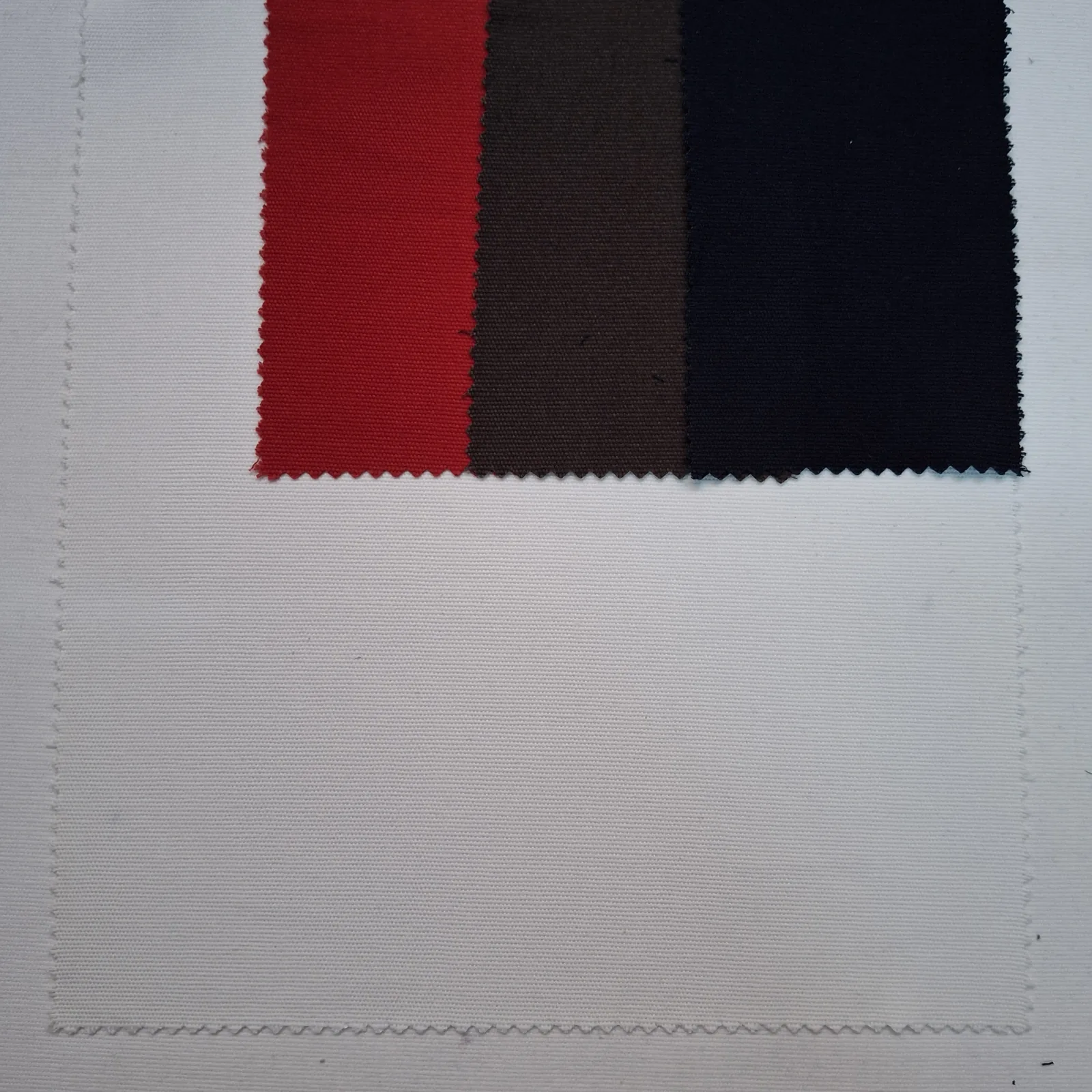 ROLEX CANVAS